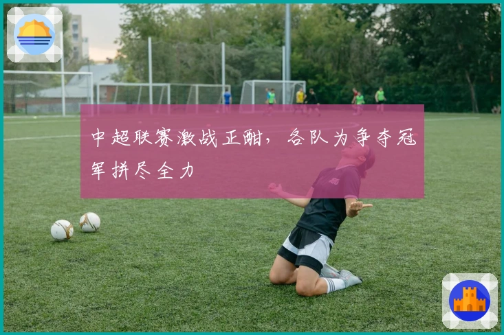 中超联赛激战正酣，各队为争夺冠军拼尽全力